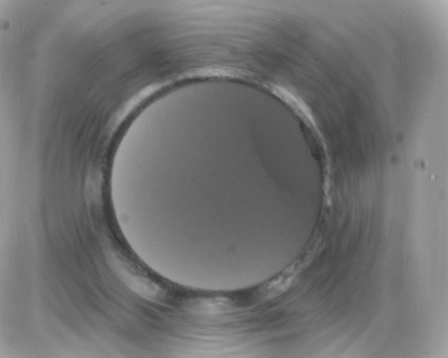 X0000087700108200706011755