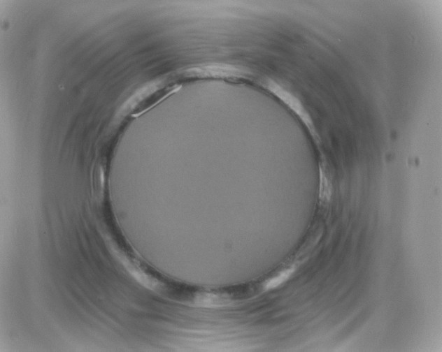 X0000087700109200706011754