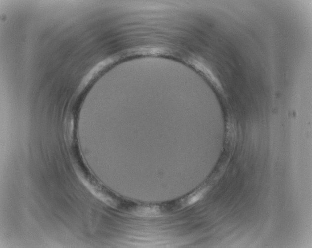 X0000087700110200706011754