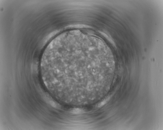 X0000087700111200706011754