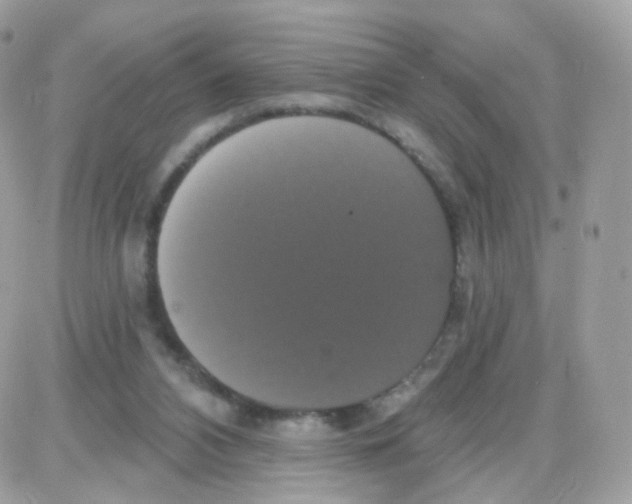 X0000087700112200706011754