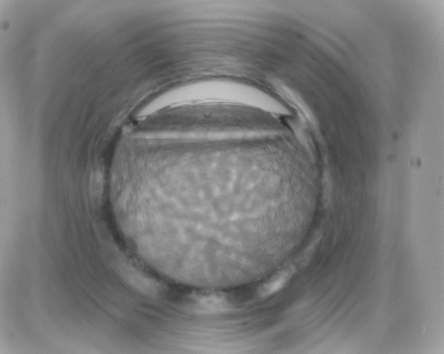 X0000087700113200706011754