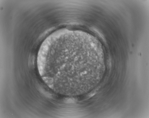 X0000087700115200706011754