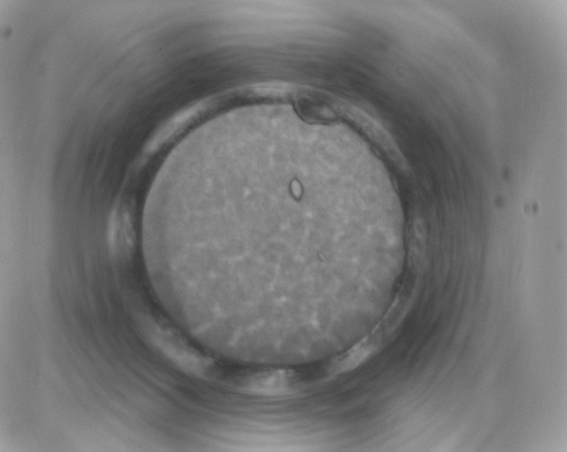 X0000087700116200706011754