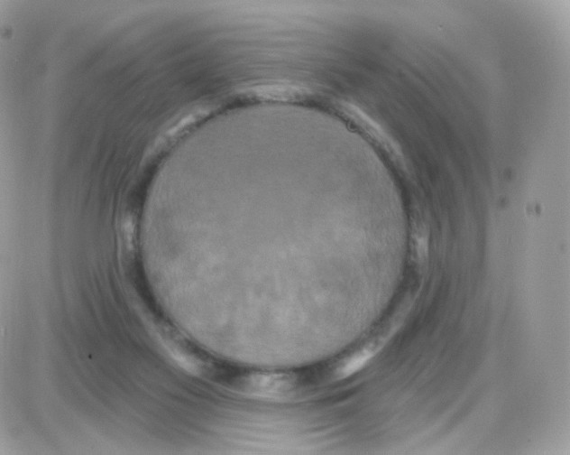 X0000087700117200706011754