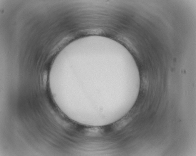 X0000087700118200706011754