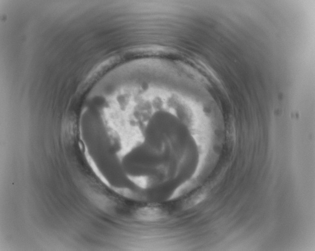 X0000087700119200706011754