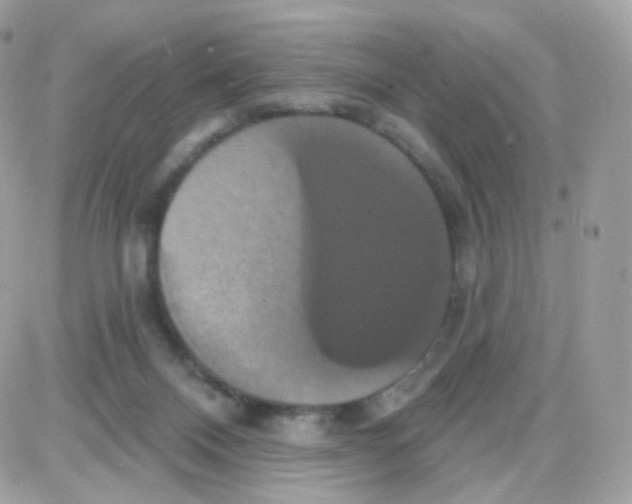 X0000087700120200706011754