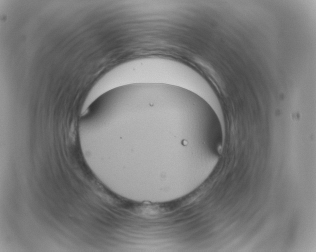 X0000087700121200706011754