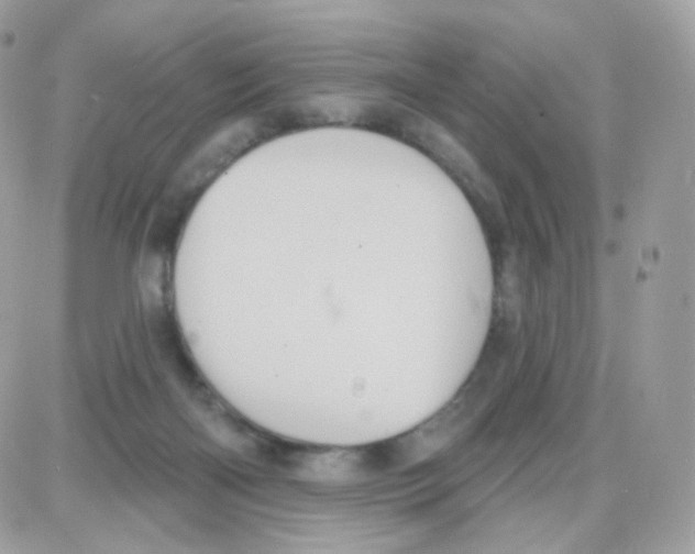 X0000087700122200706011754