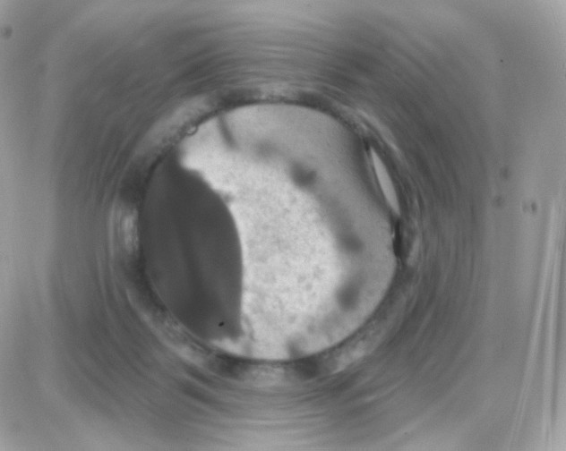 X0000087700123200706011754