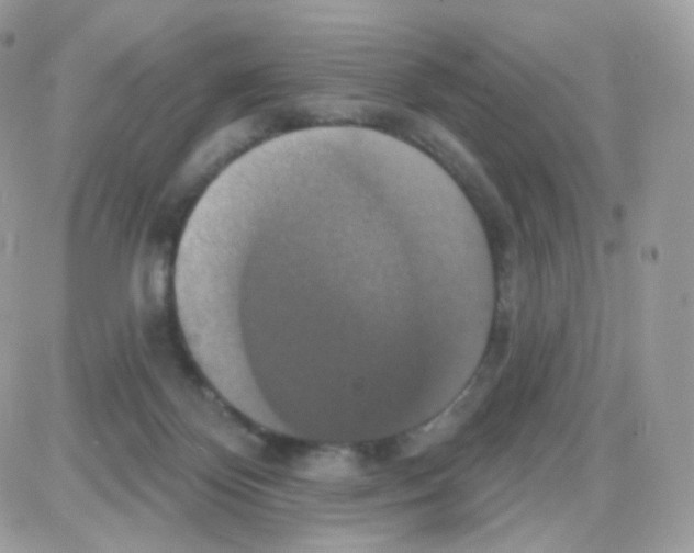 X0000087700124200706011754