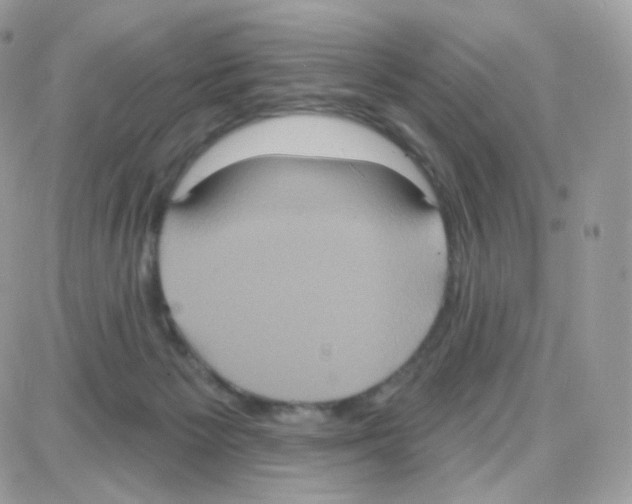 X0000087700125200706011754