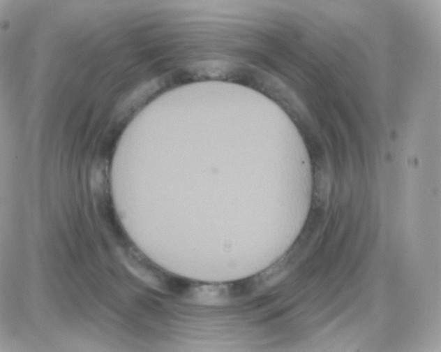 X0000087700126200706011754