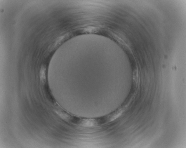 X0000087700127200706011754