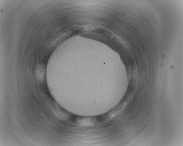 X0000087700129200706011754