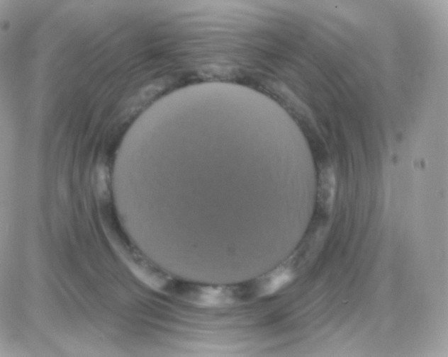 X0000087700130200706011754