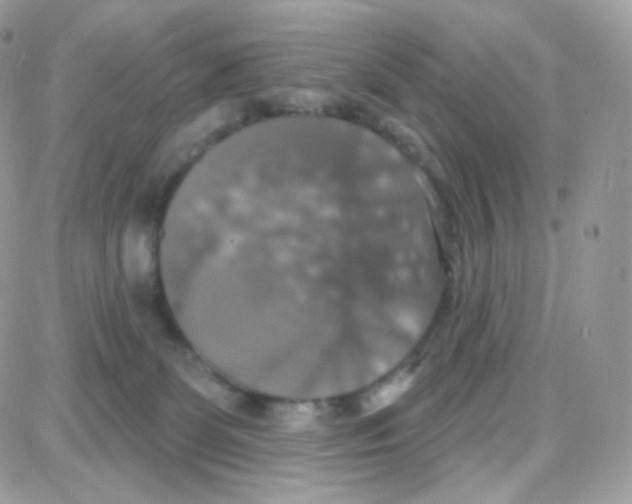 X0000087700131200706011754