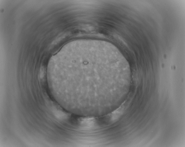 X0000087700132200706011754