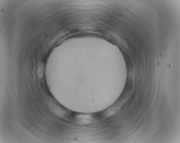 X0000087700133200706011754