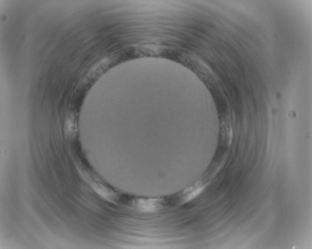 X0000087700134200706011754