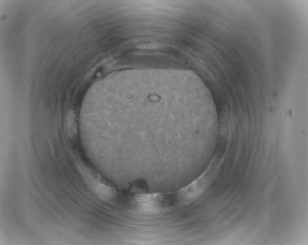 X0000087700136200706011754