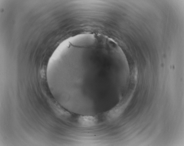 X0000087700137200706011754