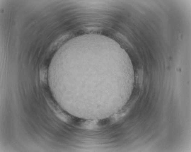 X0000087700138200706011754