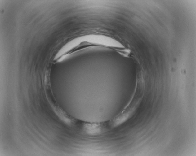 X0000087700139200706011754