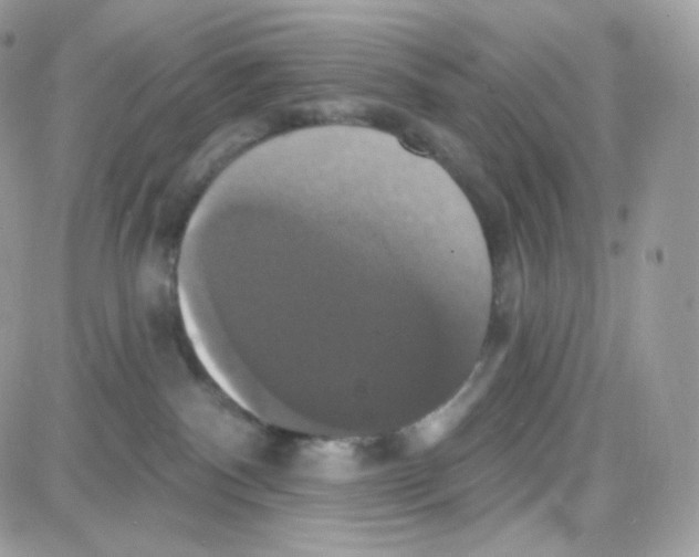 X0000087700140200706011754