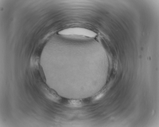 X0000087700141200706011754