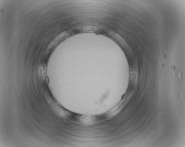 X0000087700142200706011754