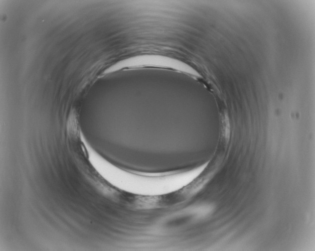 X0000087700143200706011754