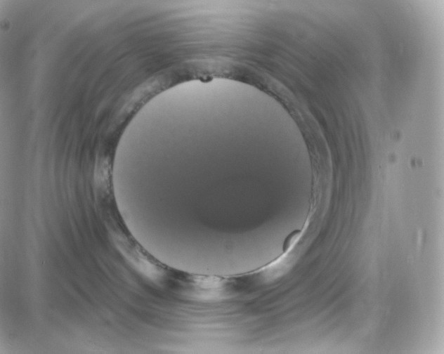 X0000087700144200706011754