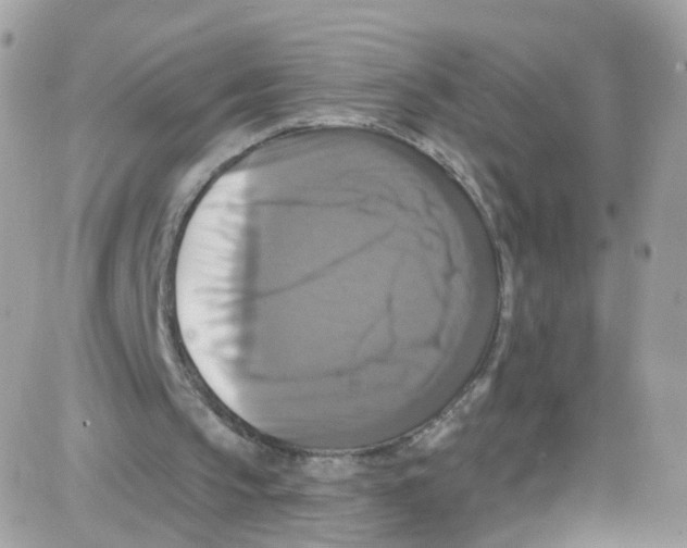 X0000087700145200706011753