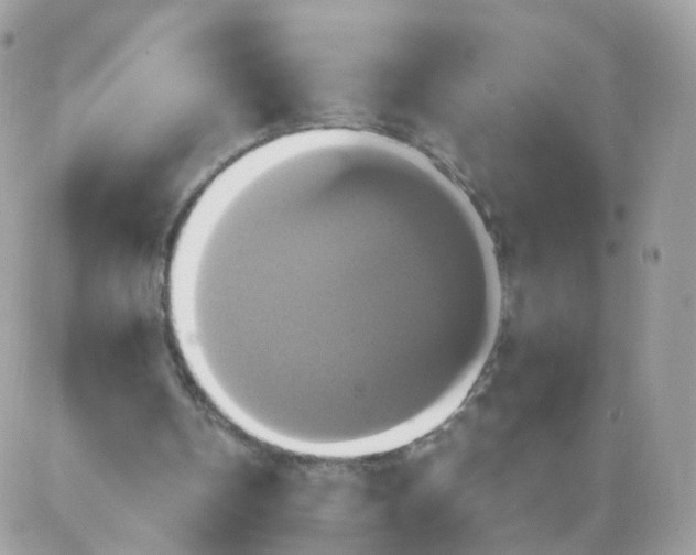 X0000087700146200706011753