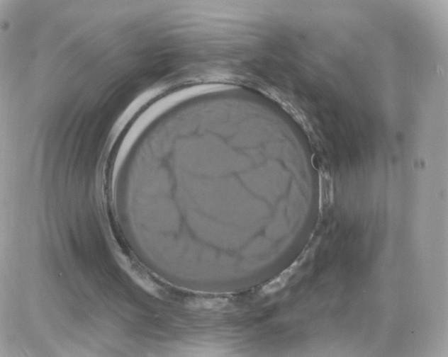 X0000087700147200706011753