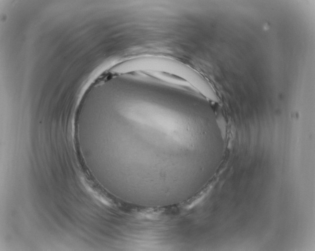 X0000087700148200706011753