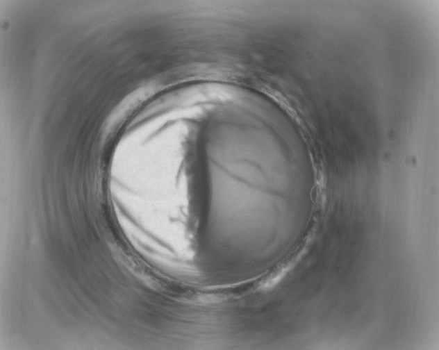 X0000087700149200706011753