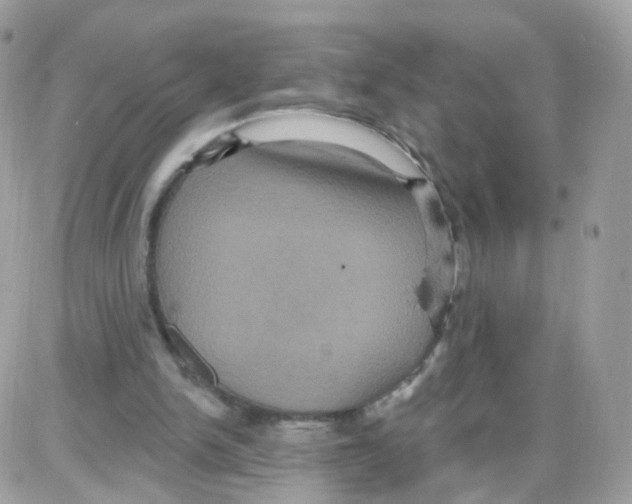 X0000087700150200706011753