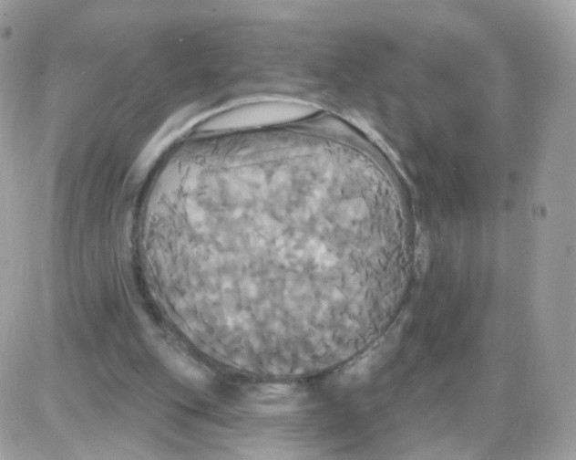 X0000087700151200706011753