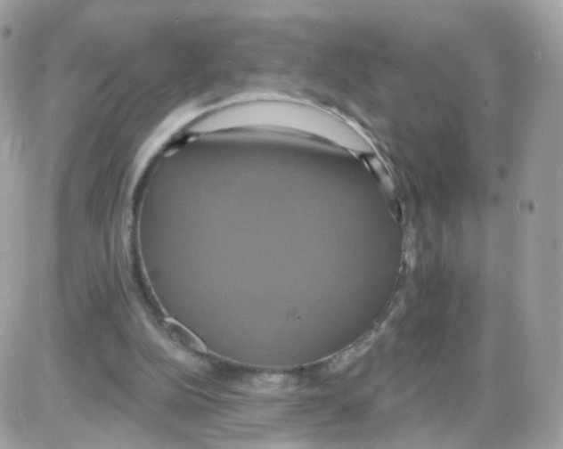 X0000087700152200706011753