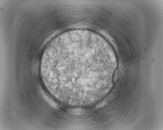 X0000087700153200706011753