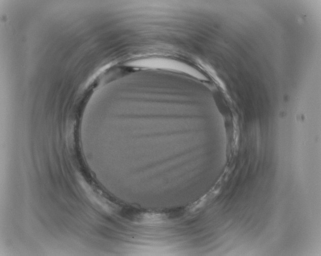 X0000087700154200706011753