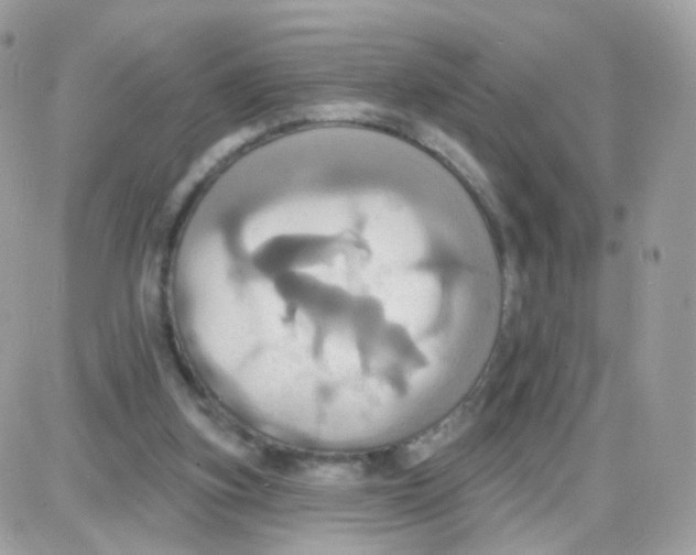 X0000087700155200706011753