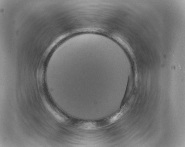 X0000087700156200706011753