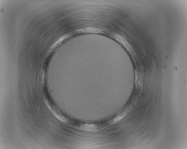 X0000087700157200706011753