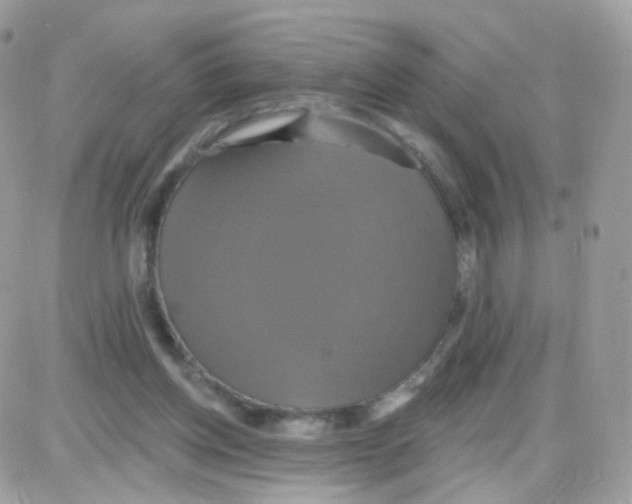 X0000087700158200706011753