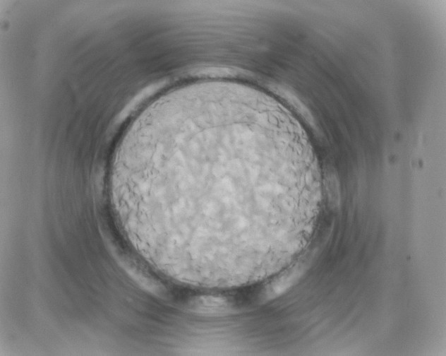 X0000087700159200706011753