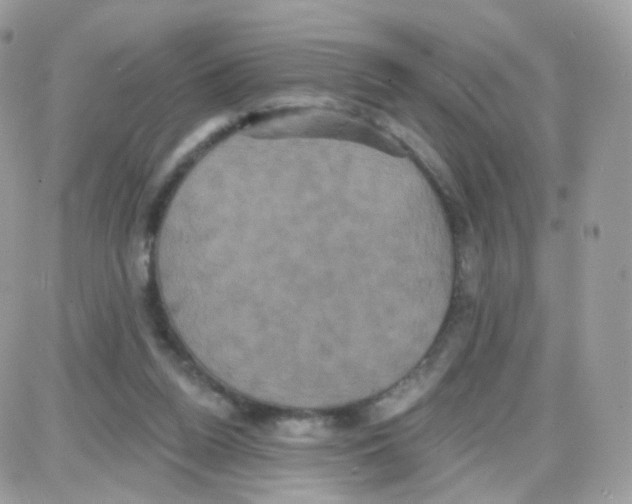 X0000087700160200706011753